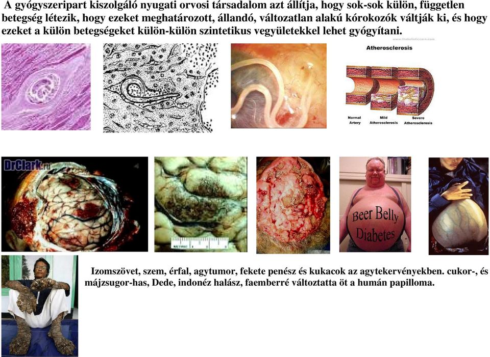 betegségeket külön-külön szintetikus vegyületekkel lehet gyógyítani.