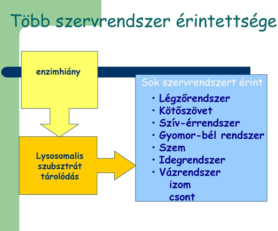 szervrendszert érint Légzőrendszer Kötőszövet