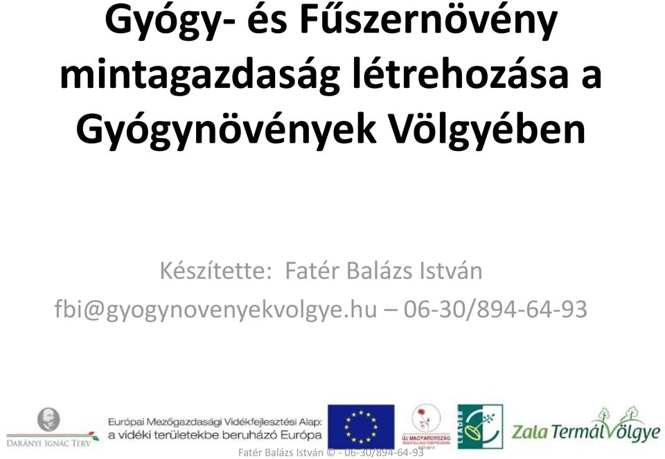 Készítette: Fatér Balázs István