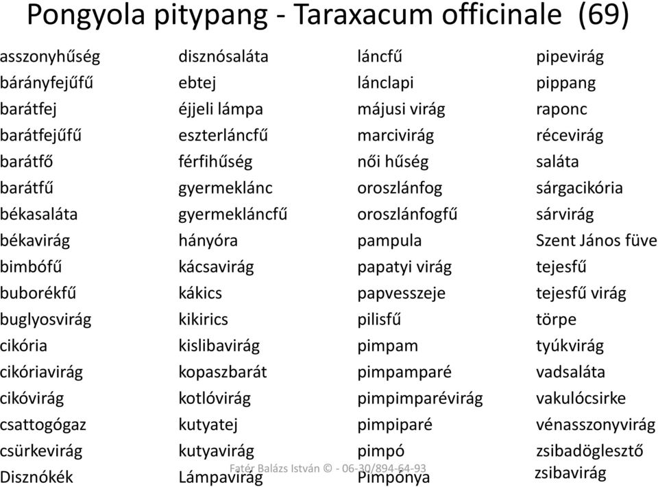 kutyatej kutyavirág Lámpavirág láncfű lánclapi májusi virág marcivirág női hűség oroszlánfog oroszlánfogfű pampula papatyi virág papvesszeje pilisfű pimpam pimpamparé pimpimparévirág pimpiparé