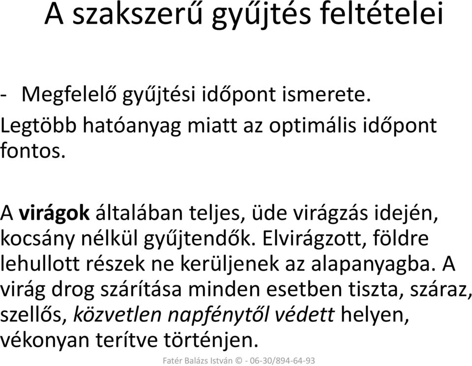 A virágok általában teljes, üde virágzás idején, kocsány nélkül gyűjtendők.