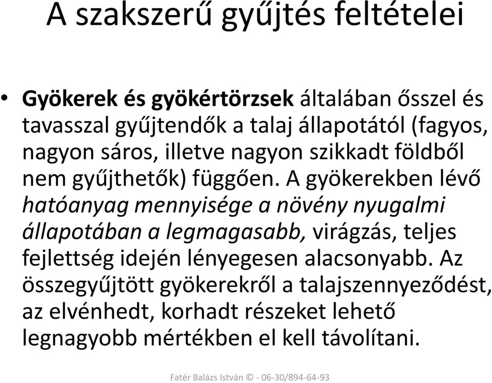 A gyökerekben lévő hatóanyag mennyisége a növény nyugalmi állapotában a legmagasabb, virágzás, teljes fejlettség