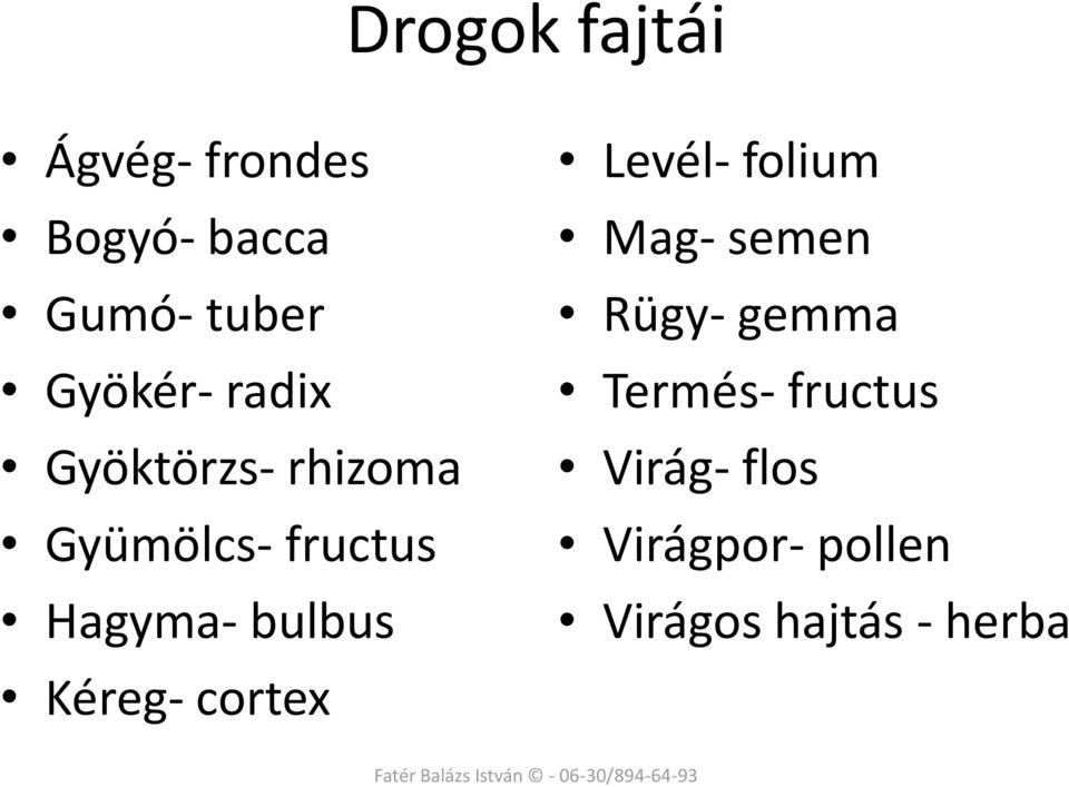 bulbus Kéreg- cortex Levél- folium Mag- semen Rügy- gemma