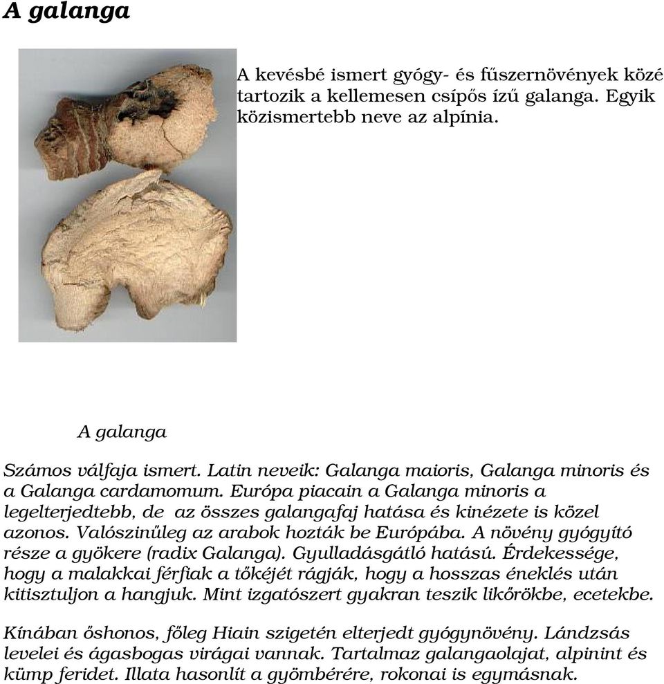 Valószinűleg az arabok hozták be Európába. A növény gyógyító része a gyökere (radix Galanga). Gyulladásgátló hatású.