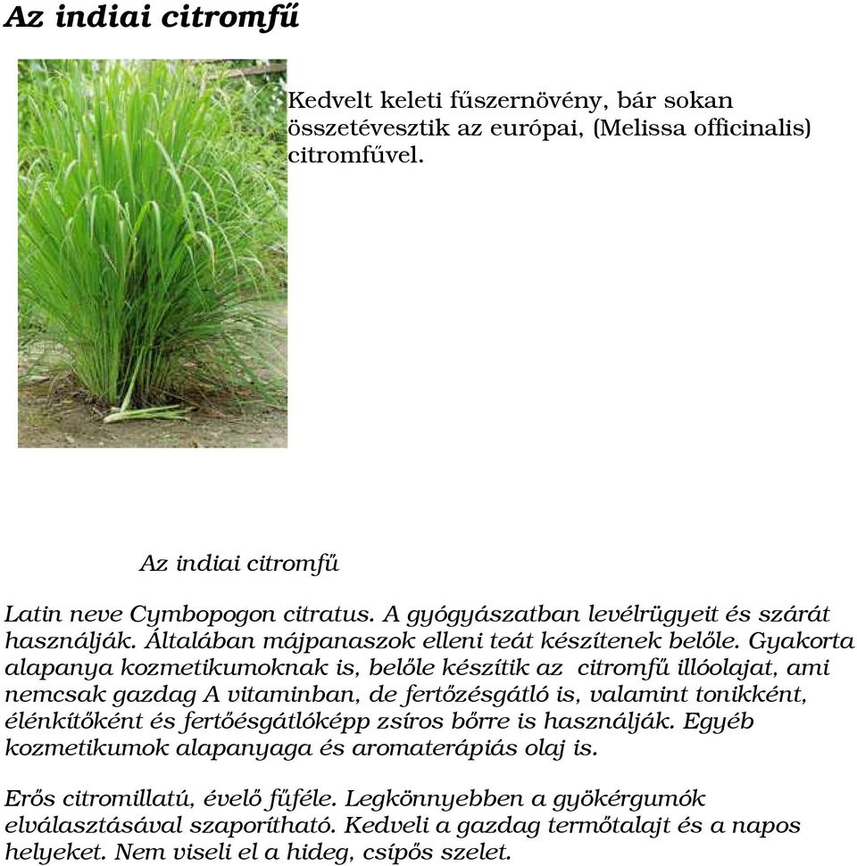 Gyakorta alapanya kozmetikumoknak is, belőle készítik az citromfű illóolajat, ami nemcsak gazdag A vitaminban, de fertőzésgátló is, valamint tonikként, élénkítőként és