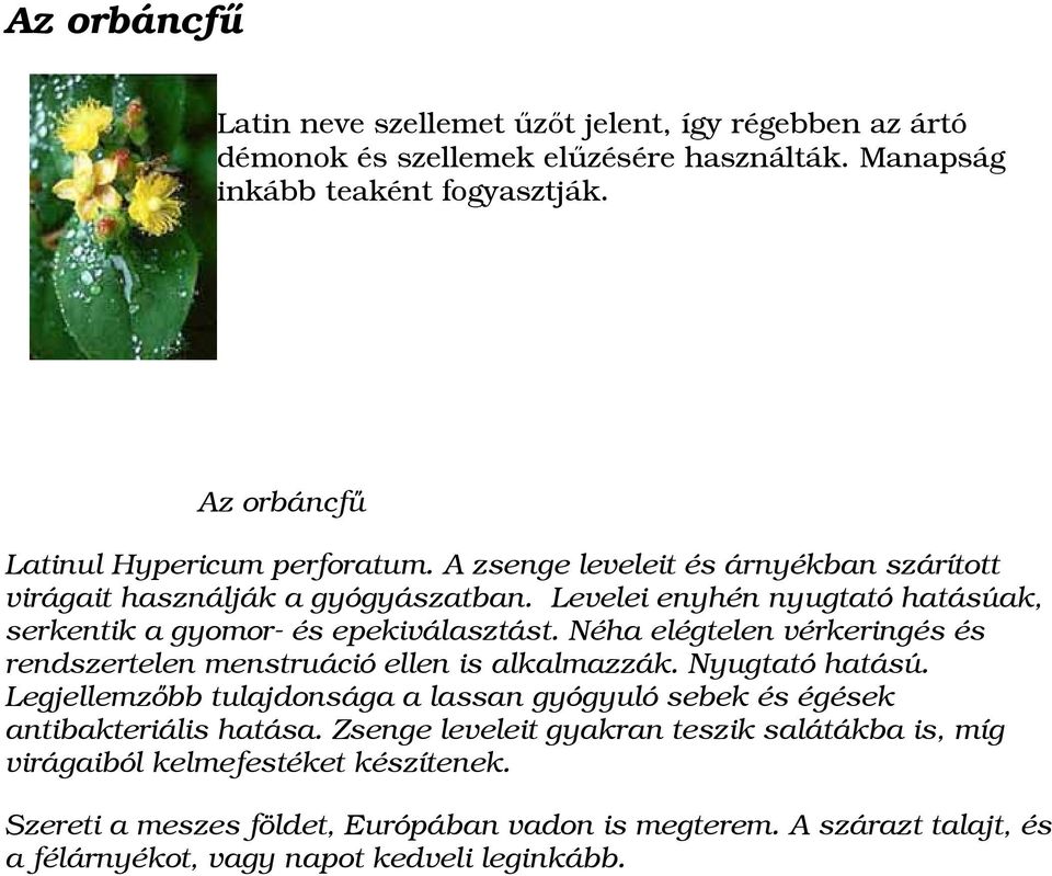 Levelei enyhén nyugtató hatásúak, serkentik a gyomor- és epekiválasztást. Néha elégtelen vérkeringés és rendszertelen menstruáció ellen is alkalmazzák. Nyugtató hatású.