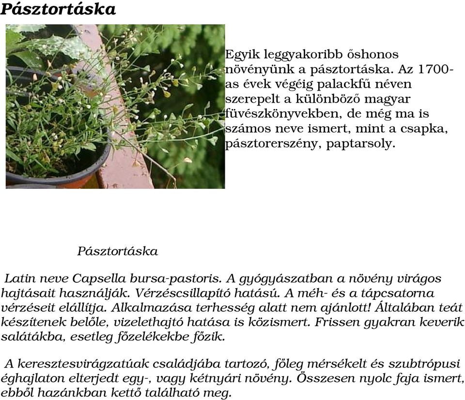 Pásztortáska Latin neve Capsella bursa-pastoris. A gyógyászatban a növény virágos hajtásait használják. Vérzéscsillapító hatású. A méh- és a tápcsatorna vérzéseit elállítja.