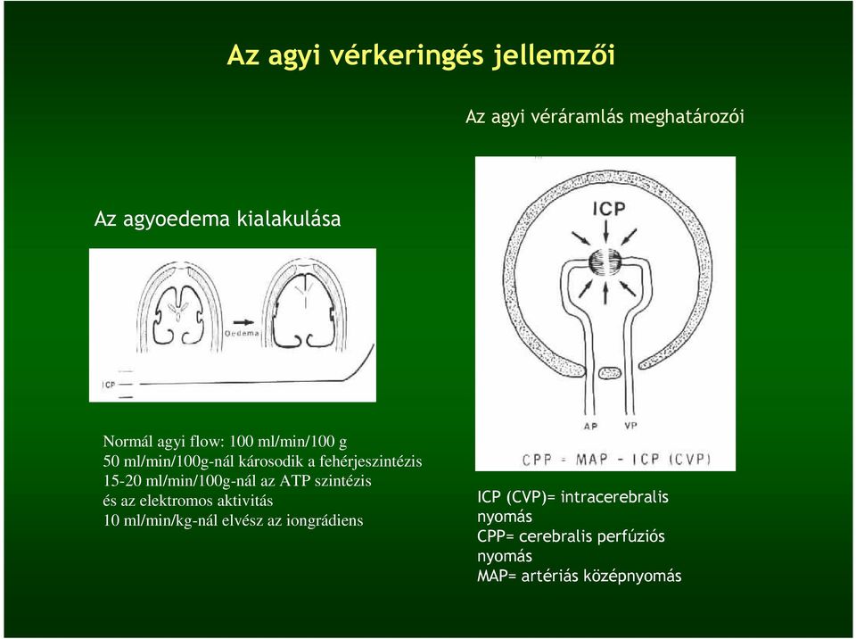 ml/min/100g-nál az ATP szintézis és az elektromos aktivitás 10 ml/min/kg-nál elvész az