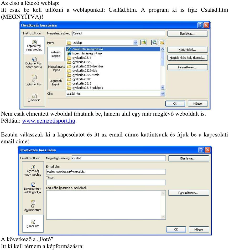 Nem csak elmentett weboldal írhatunk be, hanem alul egy már meglévı weboldalt is. Például: www.