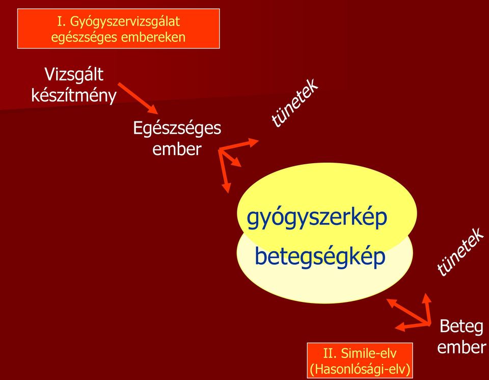 Egészséges ember gyógyszerkép