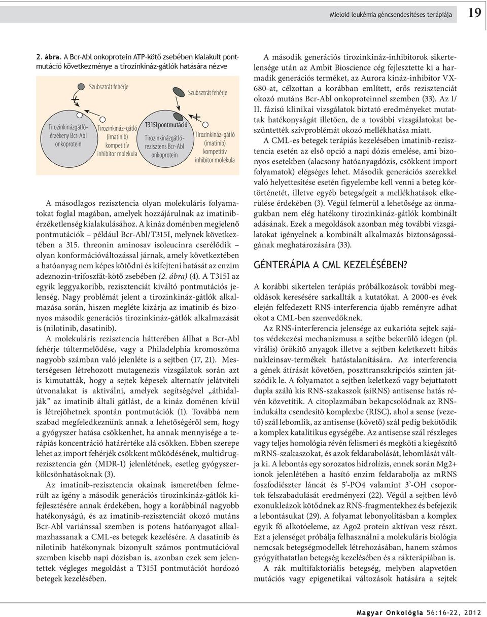 (imatinib) kompetitív inhibitor molekula T315I pontmutáció Tirozinkinázgátlórezisztens Bcr-Abl onkoprotein Szubsztrát fehérje Tirozinkináz-gátló (imatinib) kompetitív inhibitor molekula A másodlagos