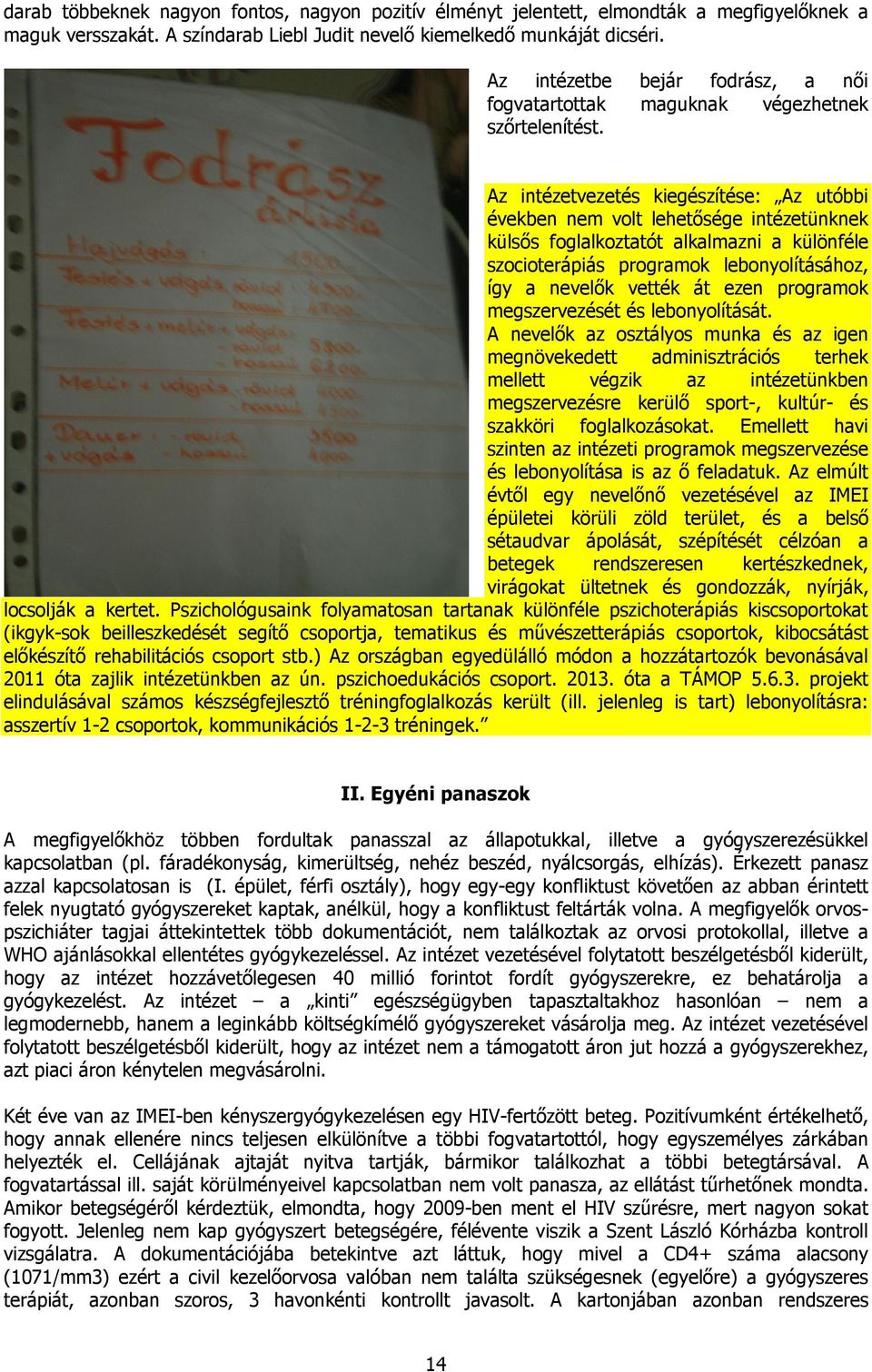 Az intézetvezetés kiegészítése: Az utóbbi években nem volt lehetősége intézetünknek külsős foglalkoztatót alkalmazni a különféle szocioterápiás programok lebonyolításához, így a nevelők vették át