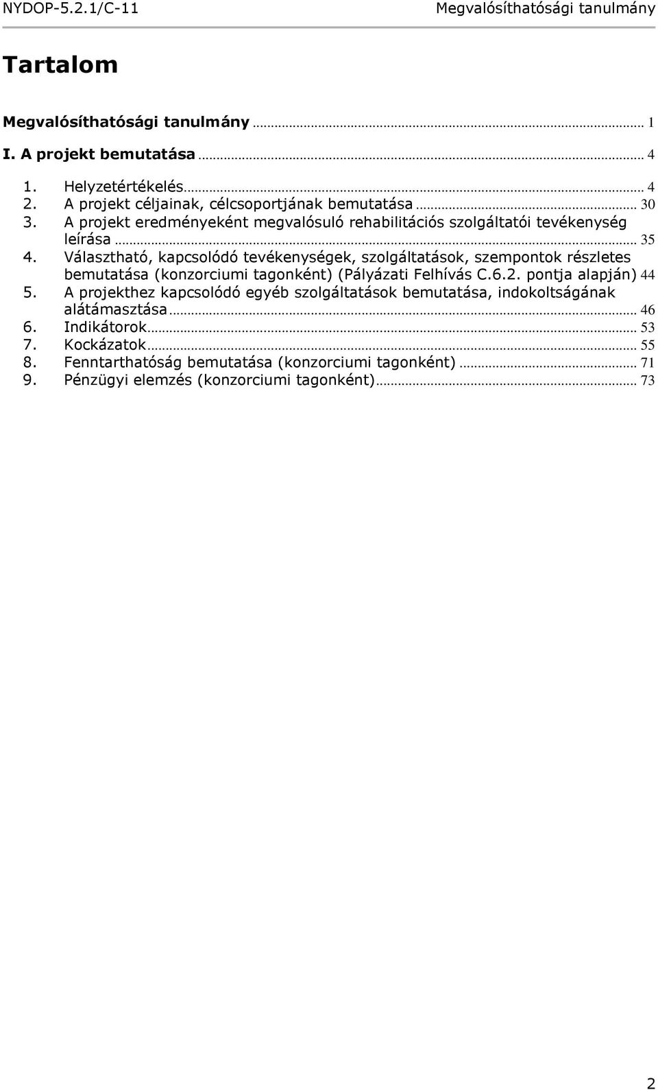 Választható, kapcsolódó tevékenységek, szolgáltatások, szempontok részletes bemutatása (konzorciumi tagonként) (Pályázati Felhívás C.6.2.