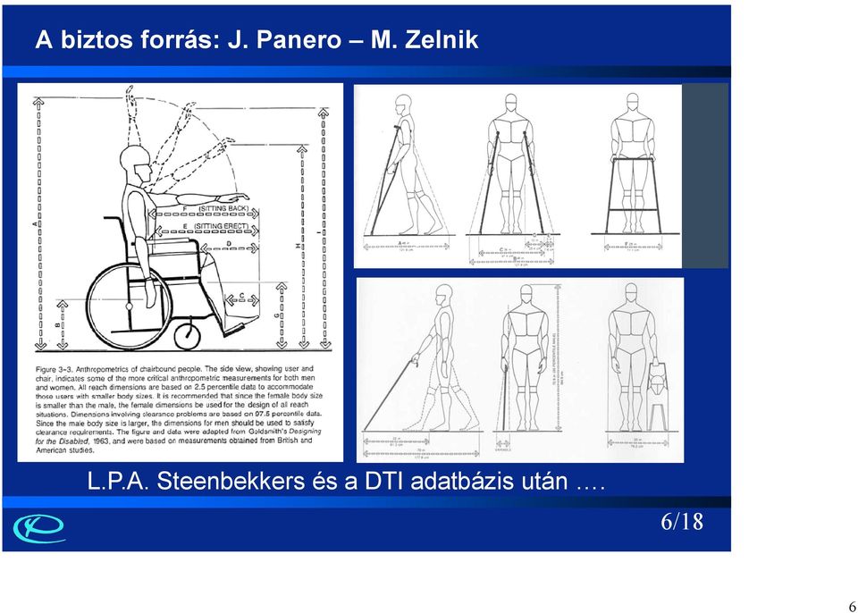 Steenbekkers és a DTI