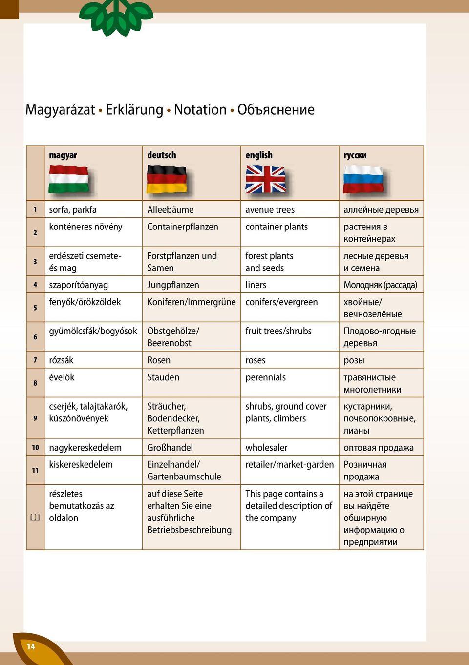 Koniferen/Immergrüne conifers/evergreen хвойные/ вечнозелёные 6 gyümölcsfák/bogyósok Obstgehölze/ fruit trees/shrubs Плодово-ягодные Beerenobst деревья 7 rózsák Rosen roses розы 8 évelők Stauden