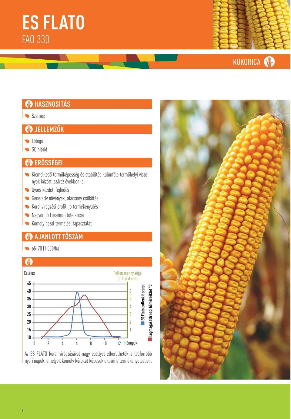 GRAIN tapasztalat AJÁNLOTT TÔSZÁM 65-70 (1.