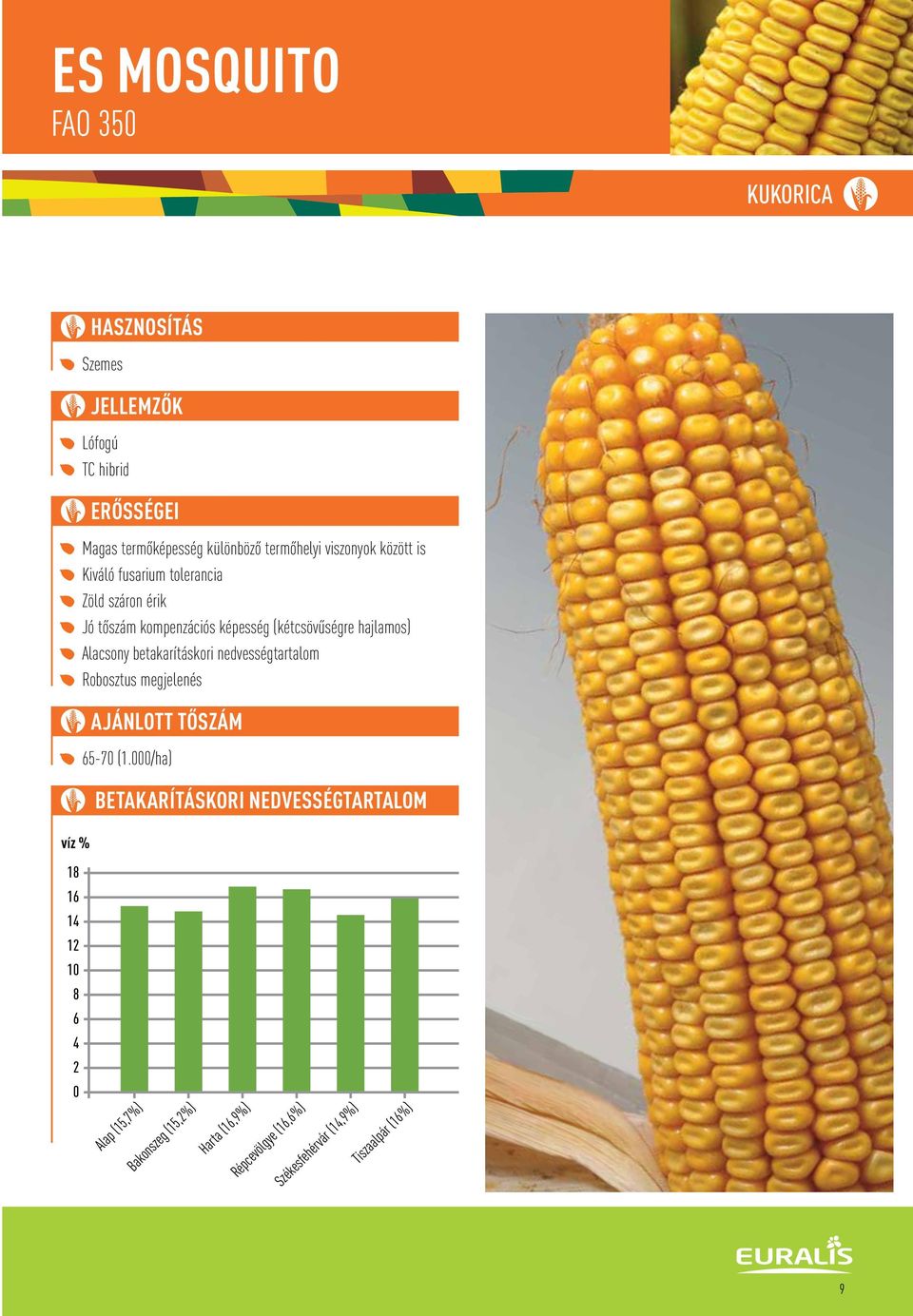 betakarításkori nedvességtartalom Robosztus MAIZE megjelenés GRAIN AJÁNLOTT TÔSZÁM 65-70 (1.