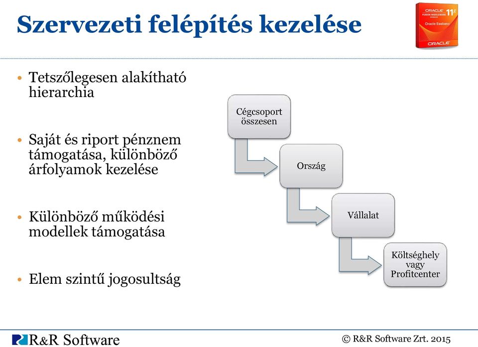 Cégcsoport összesen Ország Különböző működési modellek támogatása