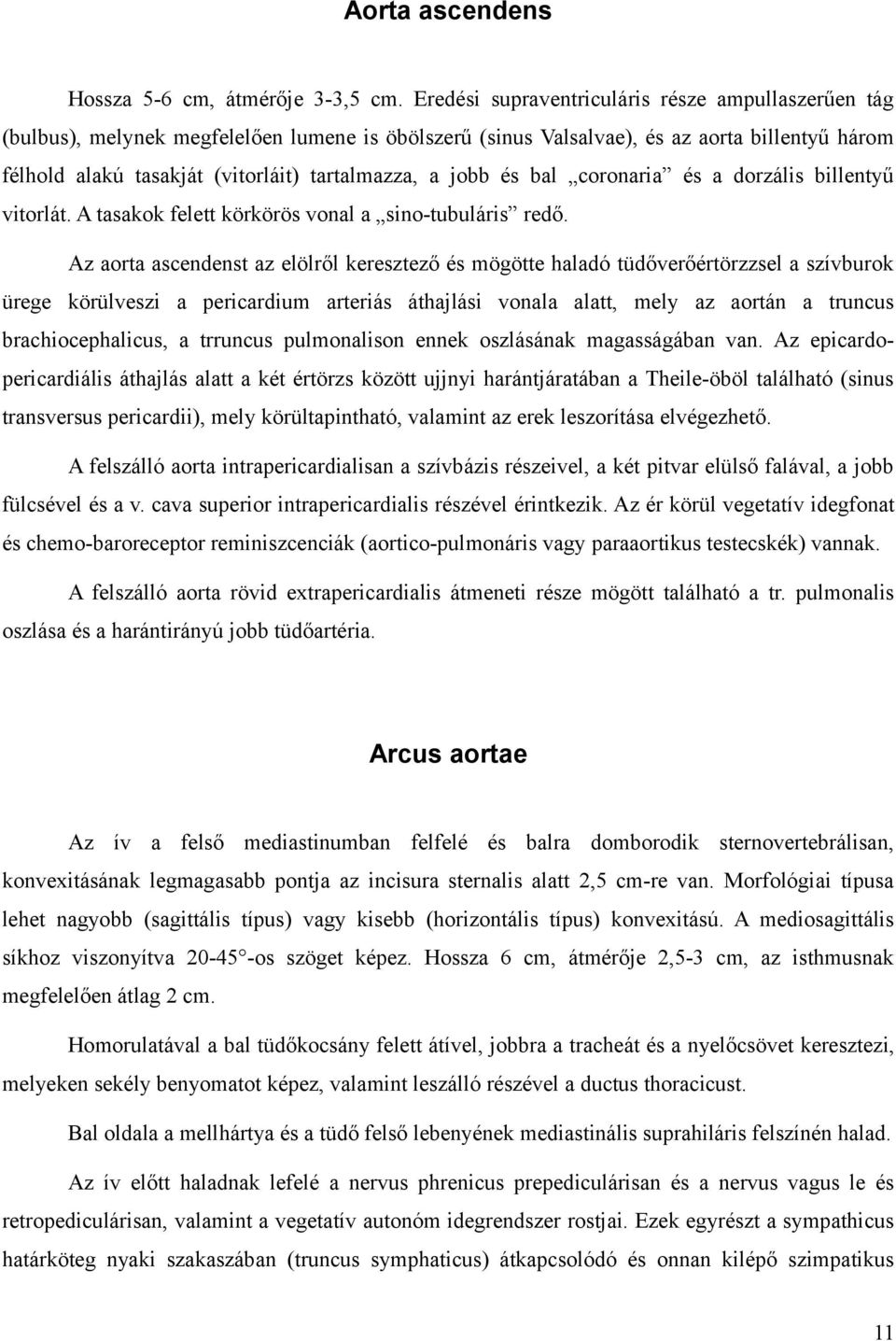 jobb és bal coronaria és a dorzális billentyű vitorlát. A tasakok felett körkörös vonal a sino-tubuláris redő.