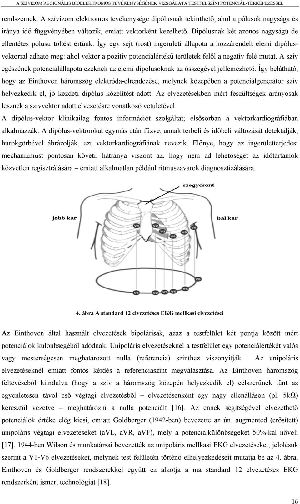 Így egy sejt (rost) ingerületi állapota a hozzárendelt elemi dipólusvektorral adható meg: ahol vektor a pozitív potenciálértékű területek felől a negatív felé mutat.