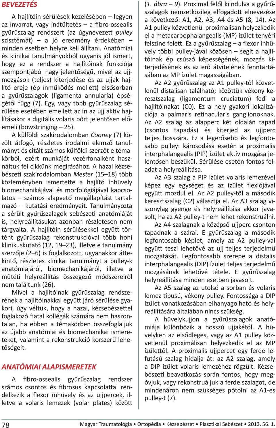 Anatómiai és klinikai tanulmányokból ugyanis jól ismert, hogy ez a rendszer a hajlítóinak funkciója szempontjából nagy jelentőségű, mivel az ujjmozgások (teljes) kiterjedése és az ujjak hajlító ereje