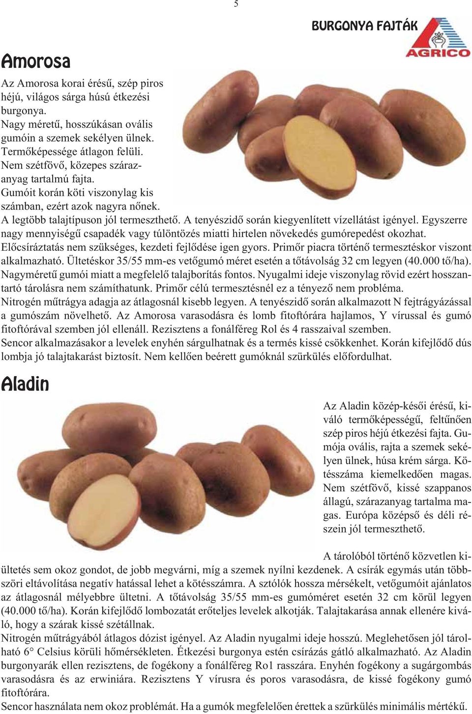 A tenyészidõ során kiegyenlített vízellátást igényel. Egyszerre nagy mennyiségû csapadék vagy túlöntözés miatti hirtelen növekedés gumórepedést okozhat.