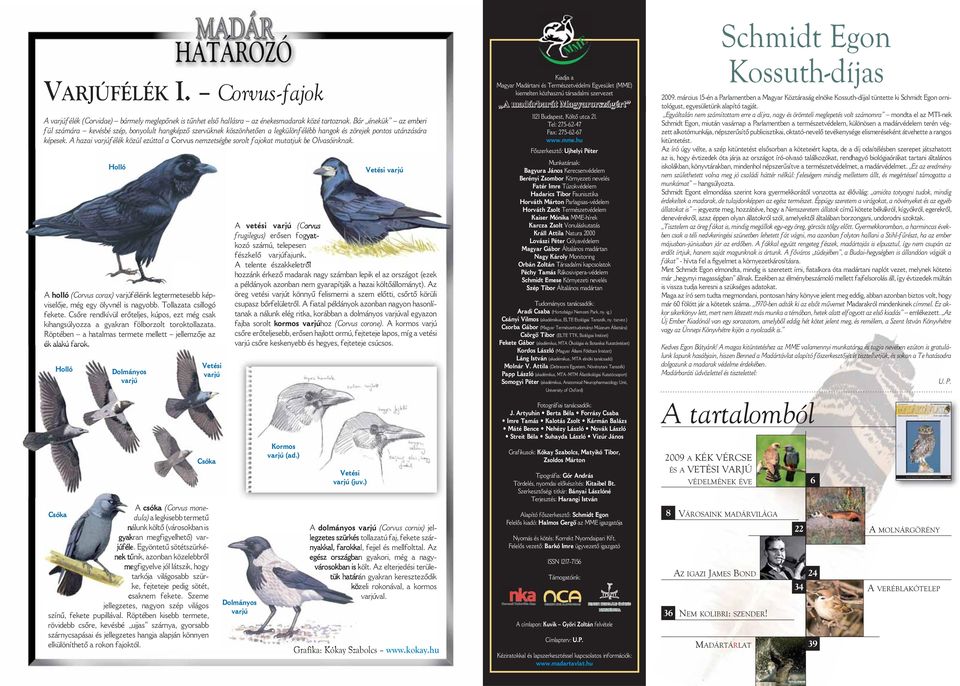 A hazai varjúfélék közül ezúttal a Corvus nemzetségbe sorolt fajokat mutatjuk be Olvasóinknak. A holló (Corvus corax) varjúféléink legtermetesebb képviselője, még egy ölyvnél is nagyobb.