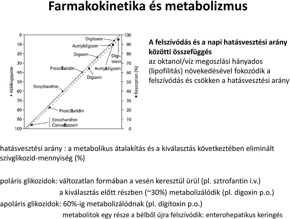 eliminált szívglikozid-mennyiség (%) poláris glikozidok: változatlan formában a vesén keresztül ürül (pl. sztrofantin i.v.) a kiválasztás előtt részben (~30%) metabolizálódik (pl.