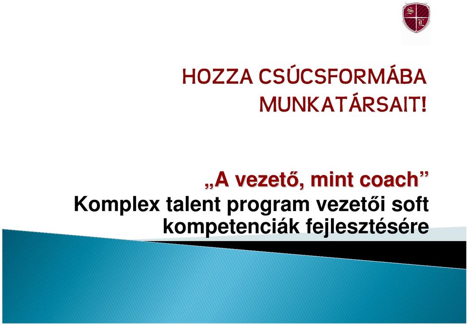 program vezetıi soft