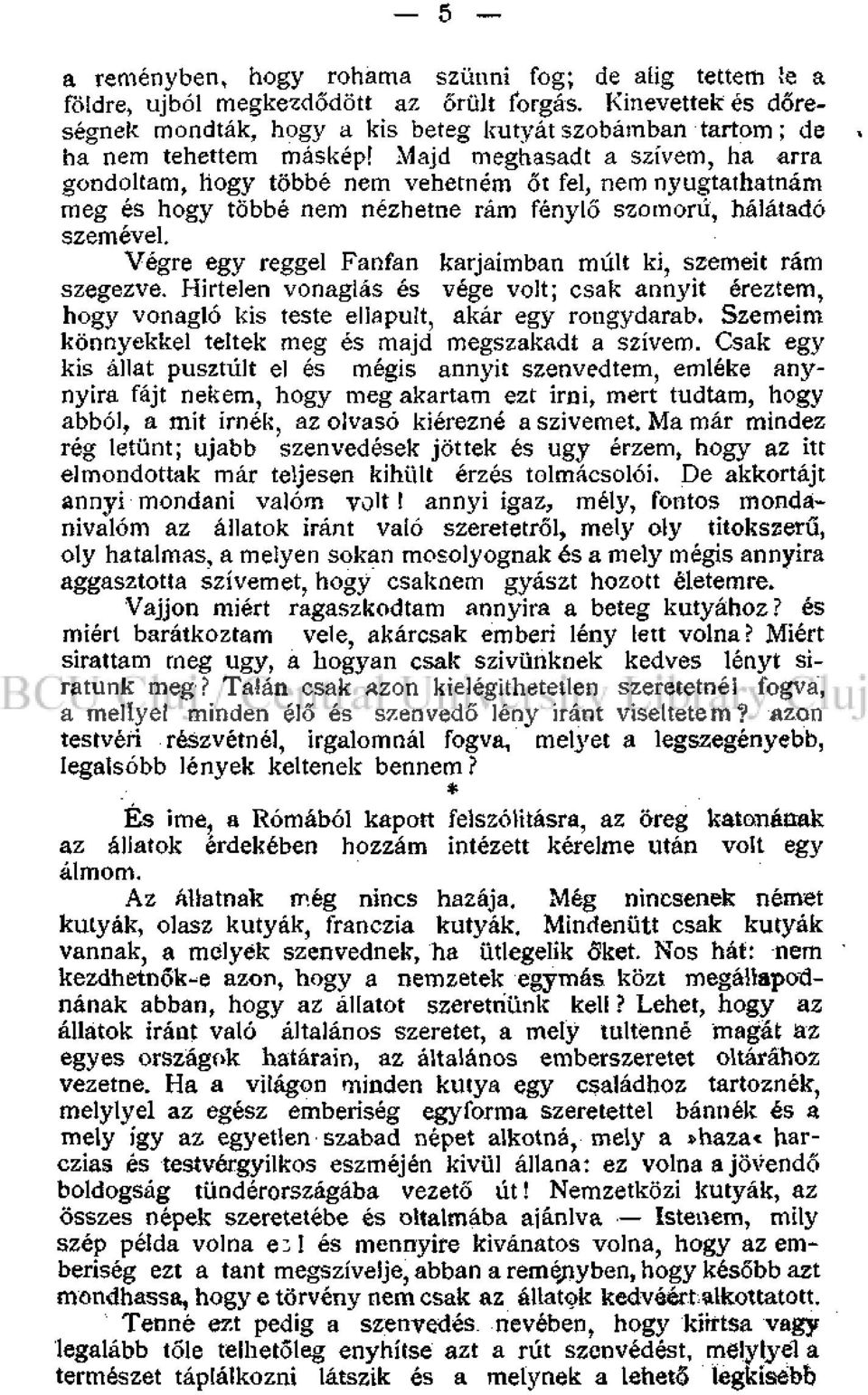 Majd meghasadt a szívem, ha arra gondoltam, hogy többé nem vehetnem őt fel, nem nyugtathatnám meg és hogy többé nem nézhetne rám fénylő szomorú, hálátadó szemével.