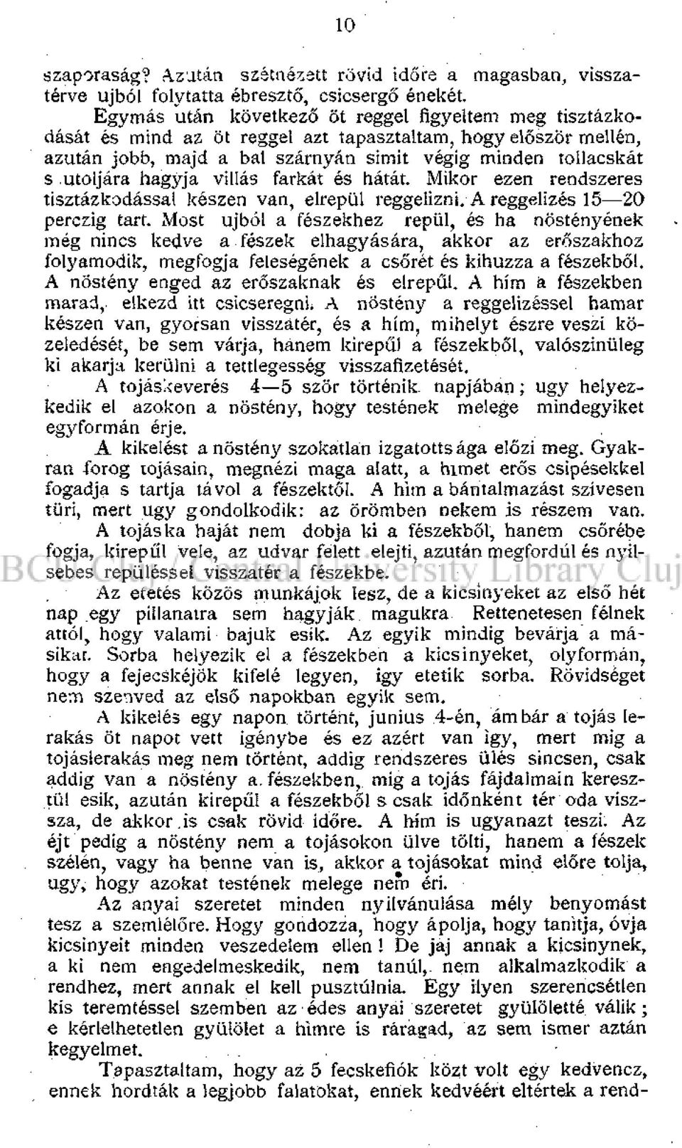 hagyja villás farkát és hátát. Mikor ezen rendszeres tisztázkodással készen van, elrepül reggelizni. A reggelizés 15 20 perczig tart.