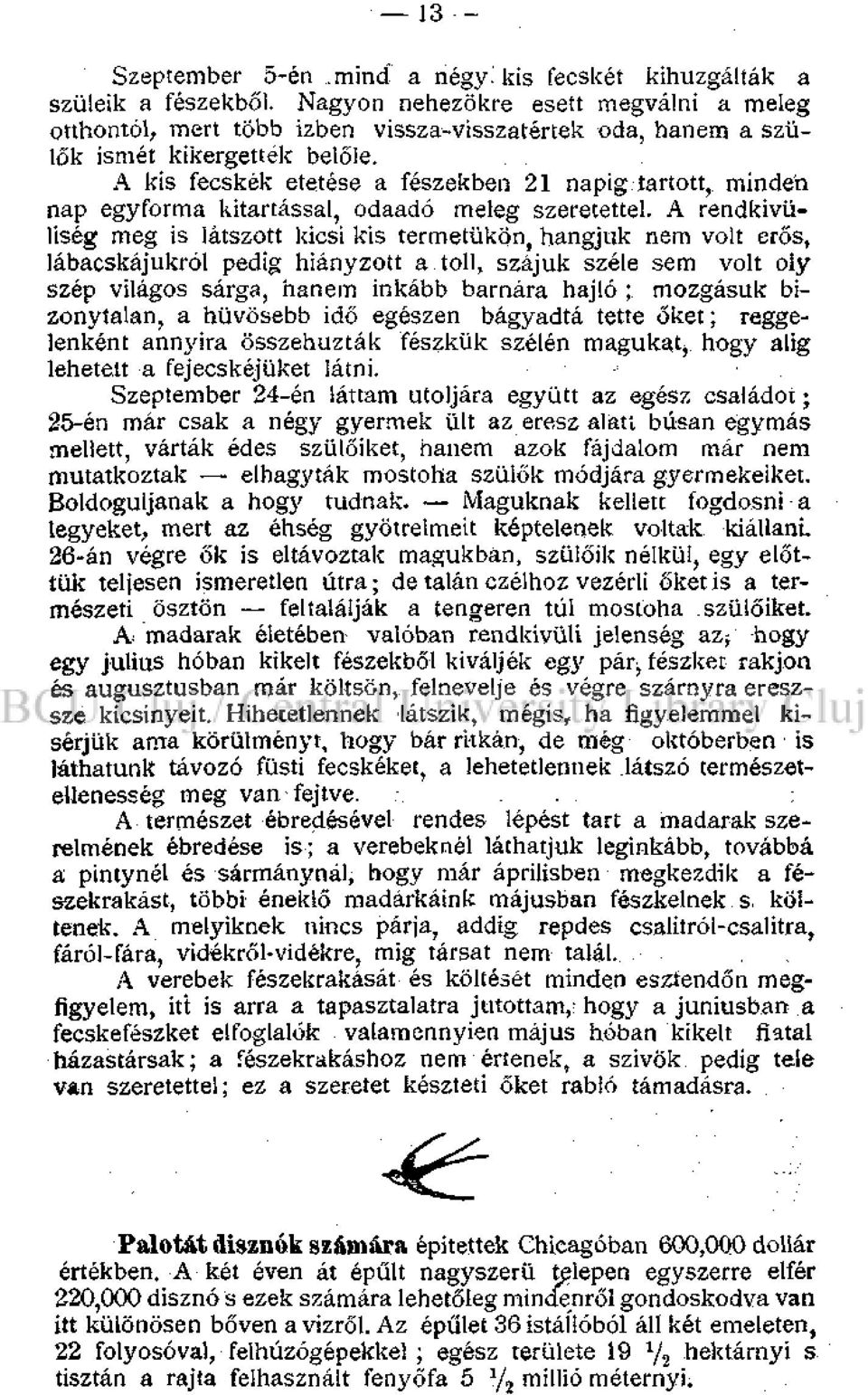 tartott, minden nap egyforma kitartással, odaadó meleg szeretettel.