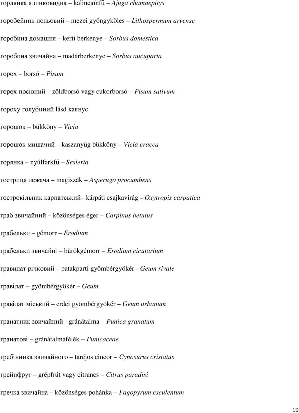 Sesleria гостриця лежача magiszák Asperugo procumbens гострокільник карпатський kárpáti csajkavirág Oxytropis carpatica граб звичайний közönséges éger Carpinus betulus грабельки gémorr Erodium