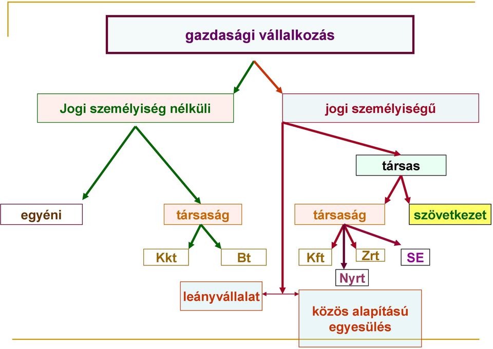 társaság társaság szövetkezet Kkt Bt Kft