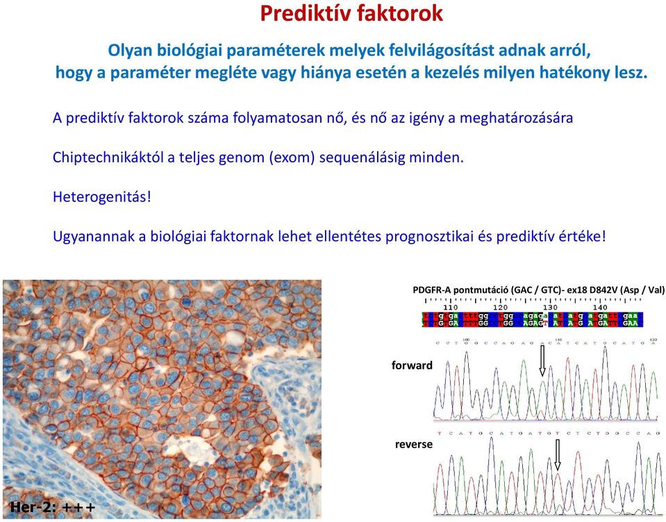 A prediktív faktorok száma folyamatosan nő, és nő az igény a meghatározására Chiptechnikáktól a teljes genom (exom)