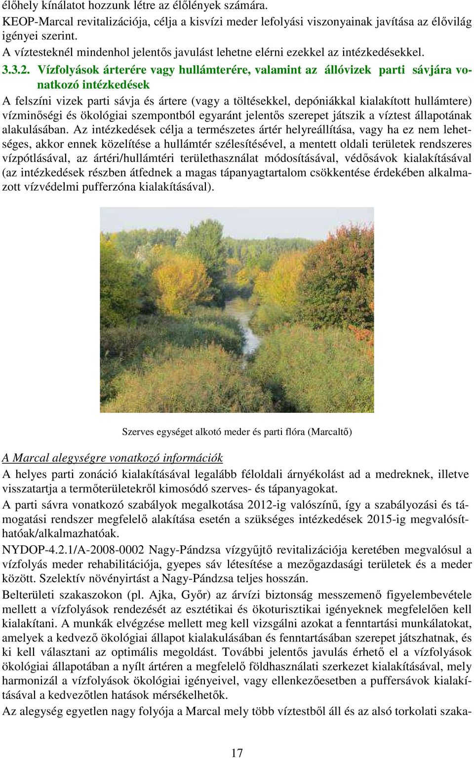 Vízfolyások árterére vagy hullámterére, valamint az állóvizek parti sávjára vonatkozó intézkedések A felszíni vizek parti sávja és ártere (vagy a töltésekkel, depóniákkal kialakított hullámtere)