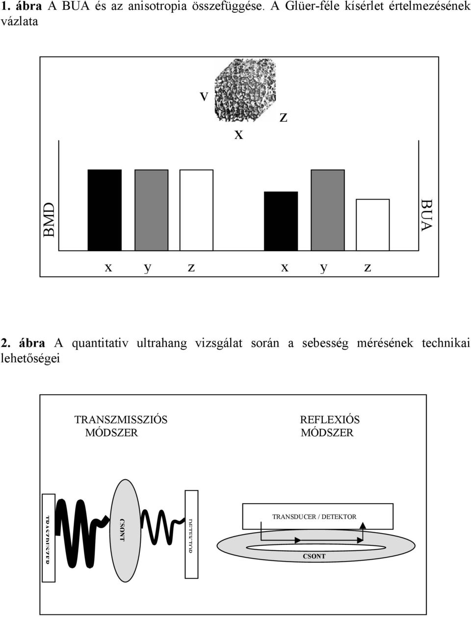 ábra A quantitativ ultrahang vizsgálat során a sebesség mérésének technikai