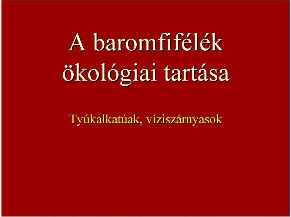 Tyúkalkat