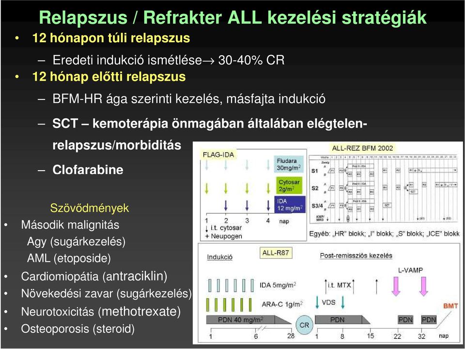 elégtelenrelapszus/morbiditás Clofarabine Szövődmények Második malignitás Agy (sugárkezelés) AML (etoposide)