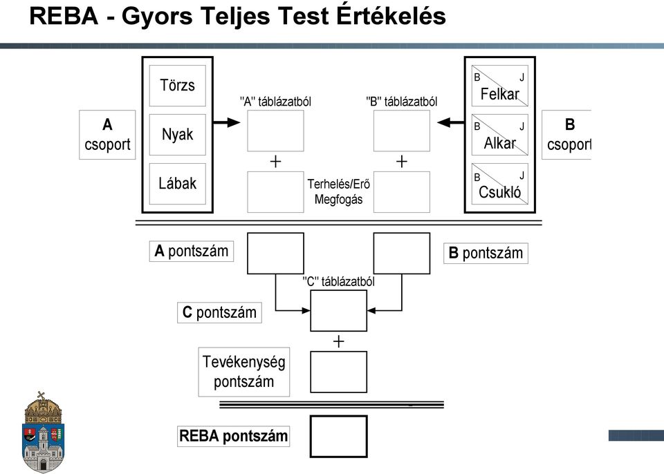 Terhelés/Erő Megfogás A pontszám Tevékenység pontszám REBA