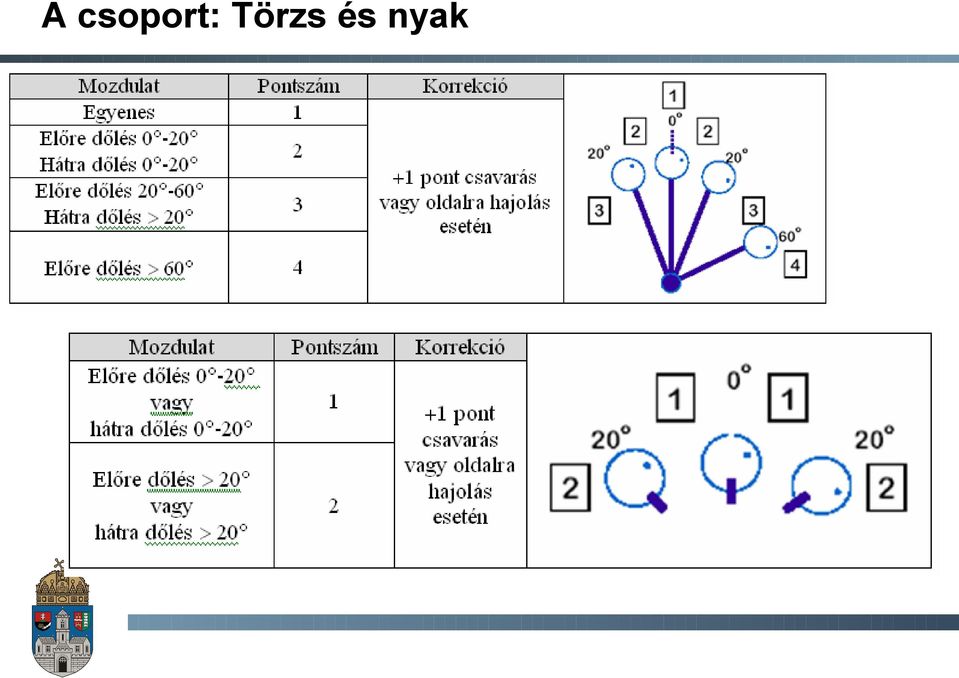 Törzs és