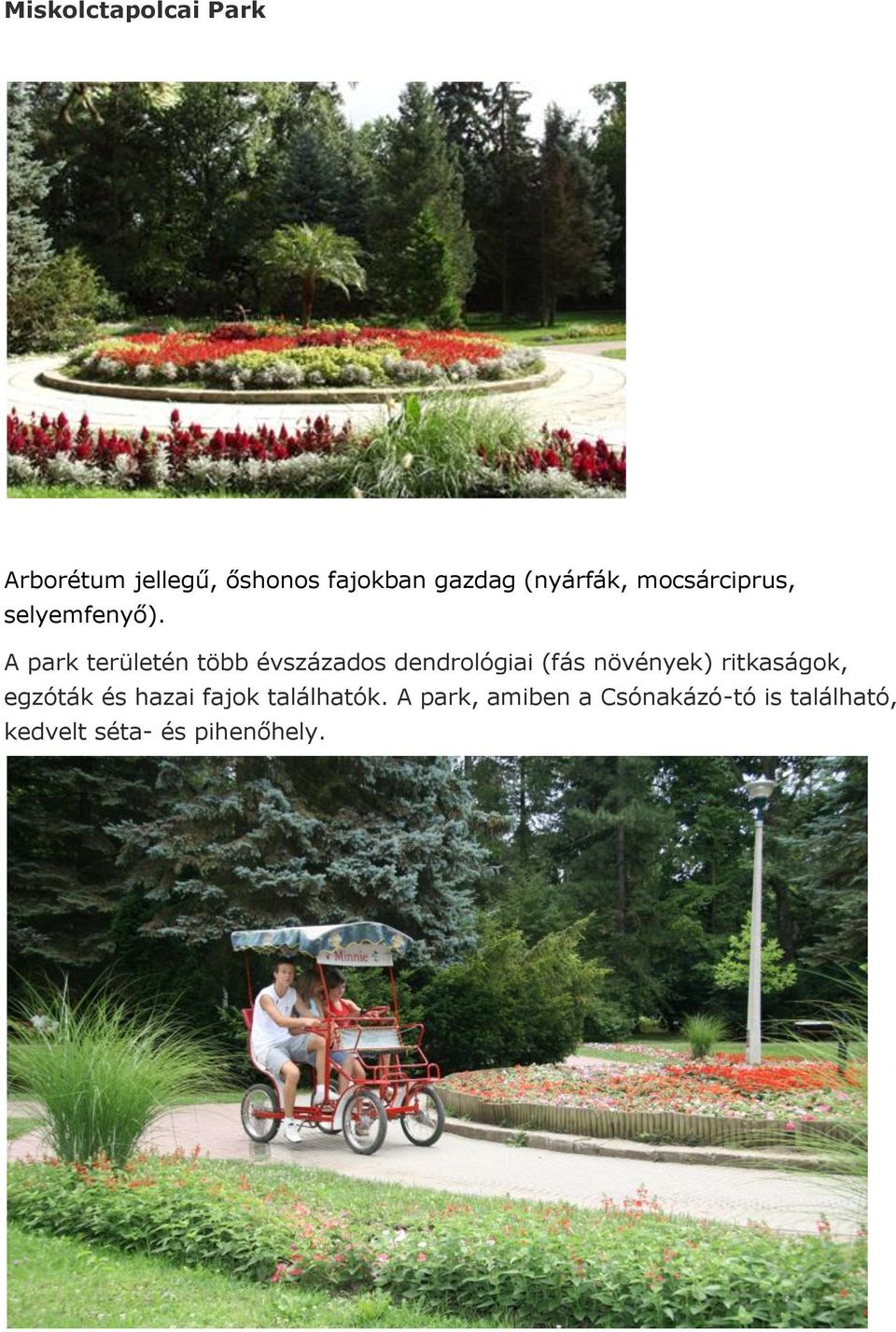 A park területén több évszázados dendrológiai (fás növények)