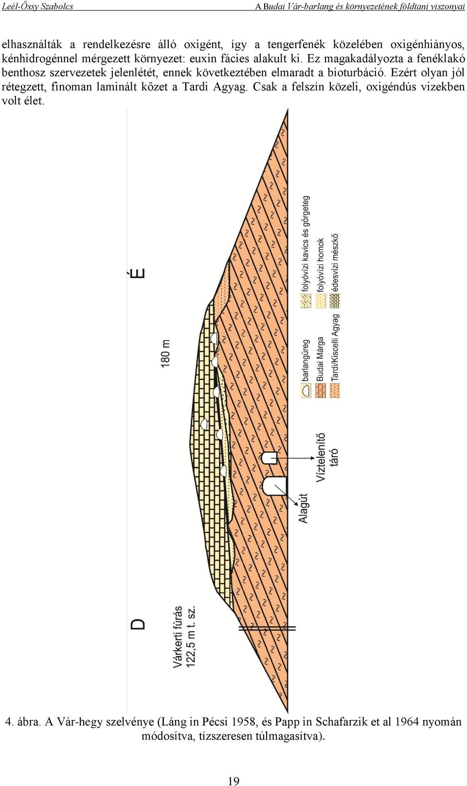 Ez magakadályozta a fenéklakó benthosz szervezetek jelenlétét, ennek következtében elmaradt a bioturbáció.