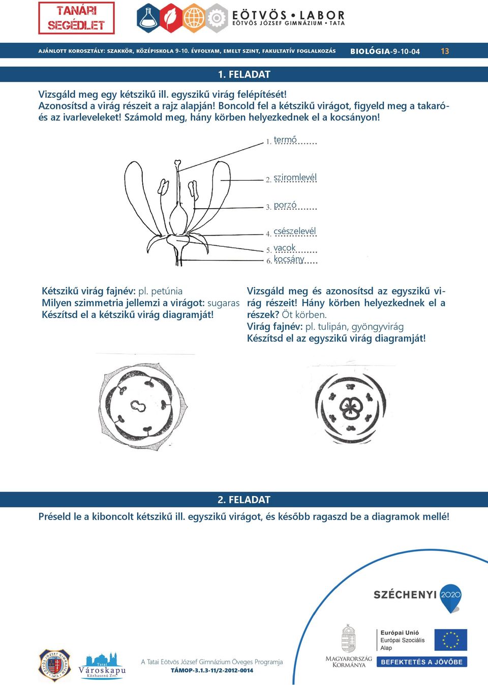 termő sziromlevél porzó csészelevél vacok kocsány Kétszikű virág fajnév: pl. petúnia Milyen szimmetria jellemzi a virágot: sugaras Készítsd el a kétszikű virág diagramját!
