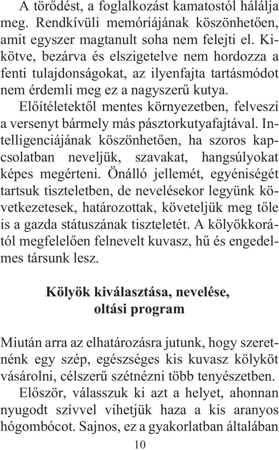 Elõítéletektõl mentes környezetben, felveszi a versenyt bármely más pásztorkutyafajtával. Intelligenciájának köszönhetõen, ha szoros kapcsolatban neveljük, szavakat, hangsúlyokat képes megérteni.