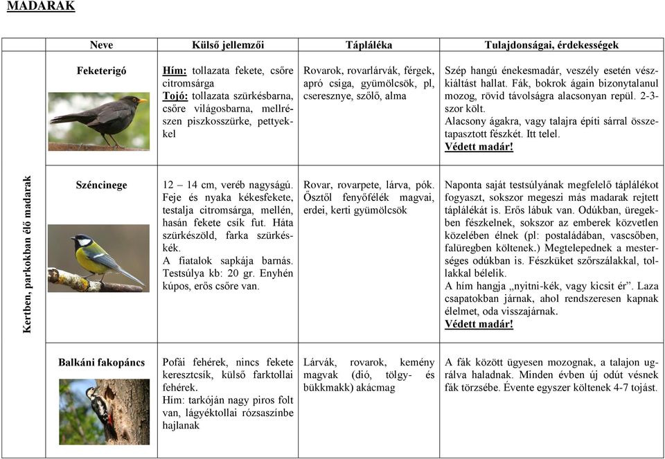 Fák, bokrok ágain bizonytalanul mozog, rövid távolságra alacsonyan repül. 2-3- szor költ. Alacsony ágakra, vagy talajra építi sárral összetapasztott fészkét. Itt telel. Védett madár!