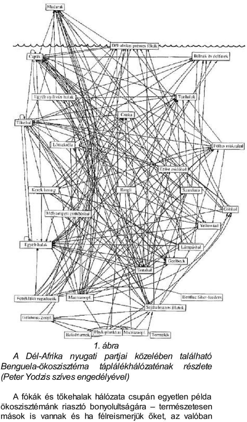 engedélyével) A fókák és tőkehalak hálózata csupán egyetlen példa
