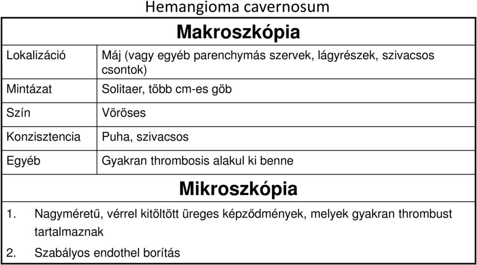 Puha, szivacsos Gyakran thrombosis alakul ki benne Mikroszkópia 1.