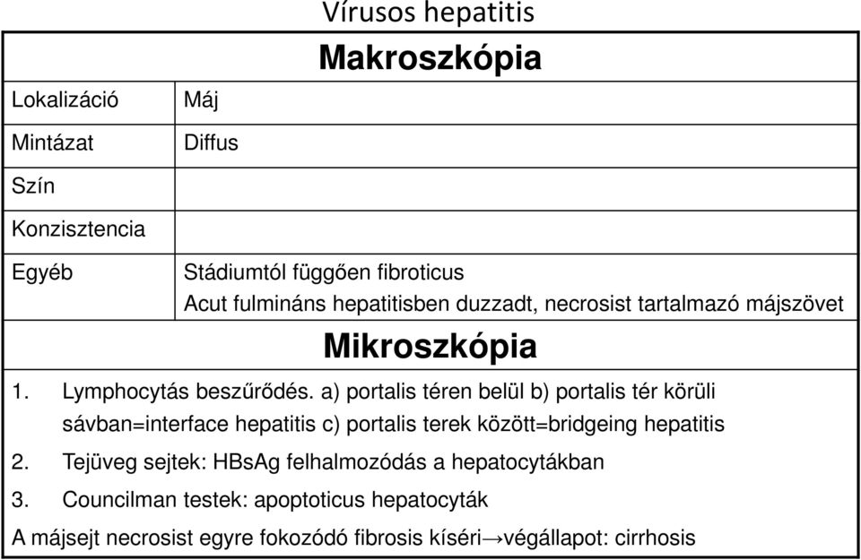 a) portalis téren belül b) portalis tér körüli sávban=interface hepatitis c) portalis terek között=bridgeing hepatitis 2.