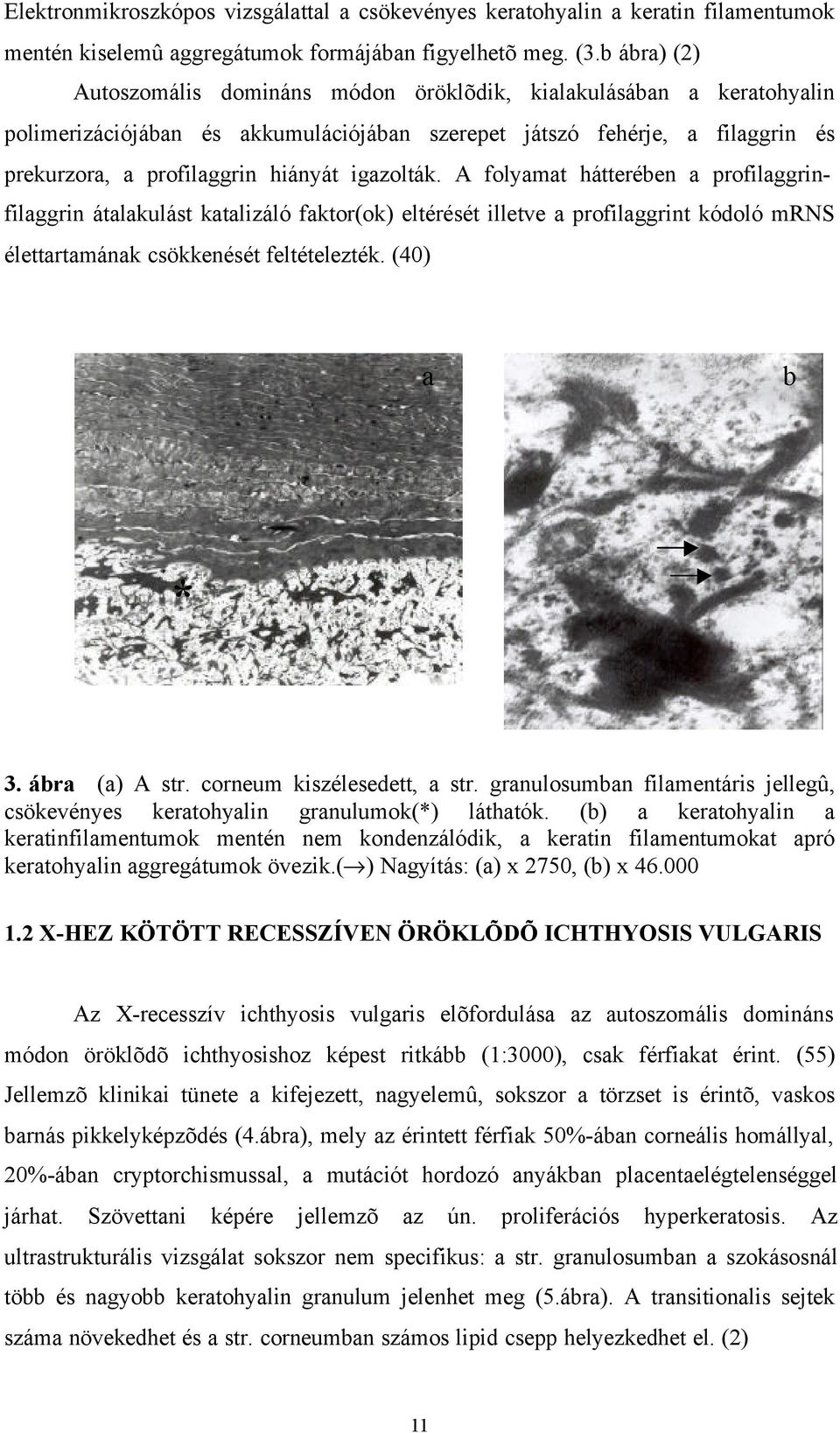 igazolták. A folyamat hátterében a profilaggrinfilaggrin átalakulást katalizáló faktor(ok) eltérését illetve a profilaggrint kódoló mrns élettartamának csökkenését feltételezték. (40) a b * 3.